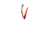 Vina Ventisquero